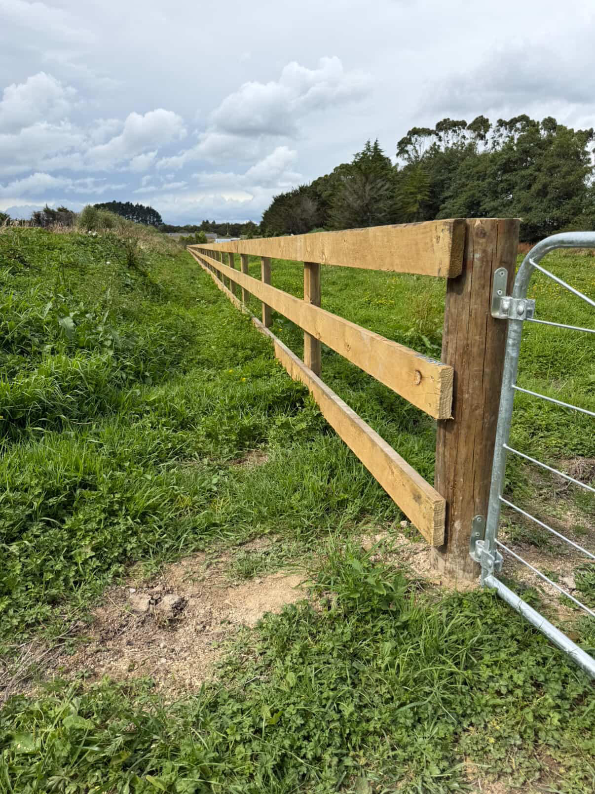 Fencing and outdoor project — Element Landscaping Waikato